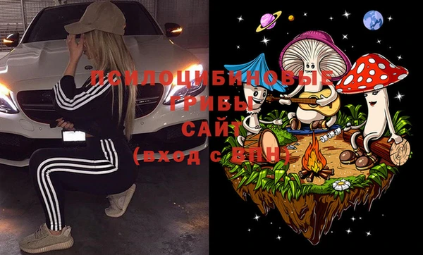 дживик Семилуки
