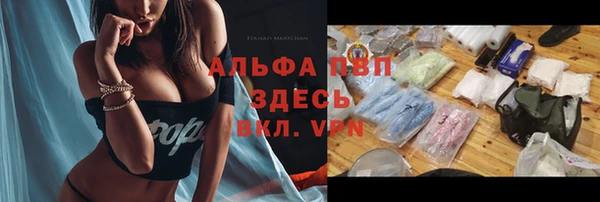 apvp Дмитриев