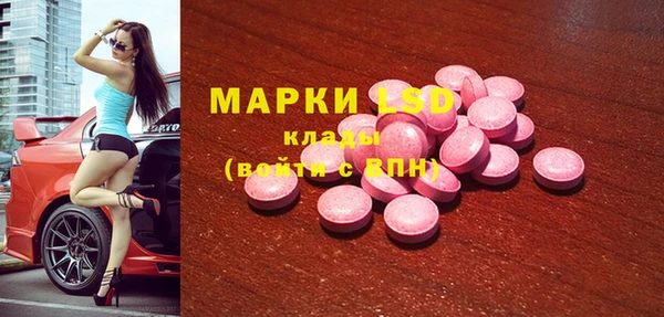 spice Снежногорск