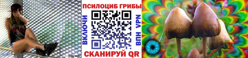 Псилоцибиновые грибы мицелий  Чернушка 